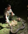 fish and game officer with python and eggs