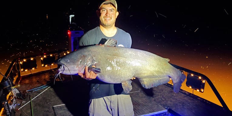 Virginia Bowfisherman Arrows New State Record Blue Catfish