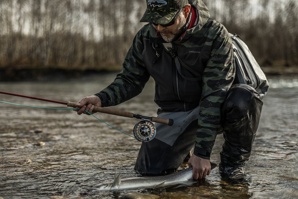 the man holds the steelhead in the water