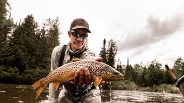 8 Fly-Fishing Guide Secrets for Late-Summer Trout