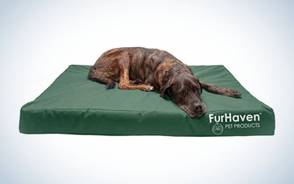 Furhaven Traditional Dog Bed