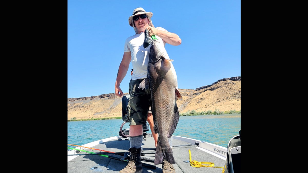Man holding a record breaking channel catfish.