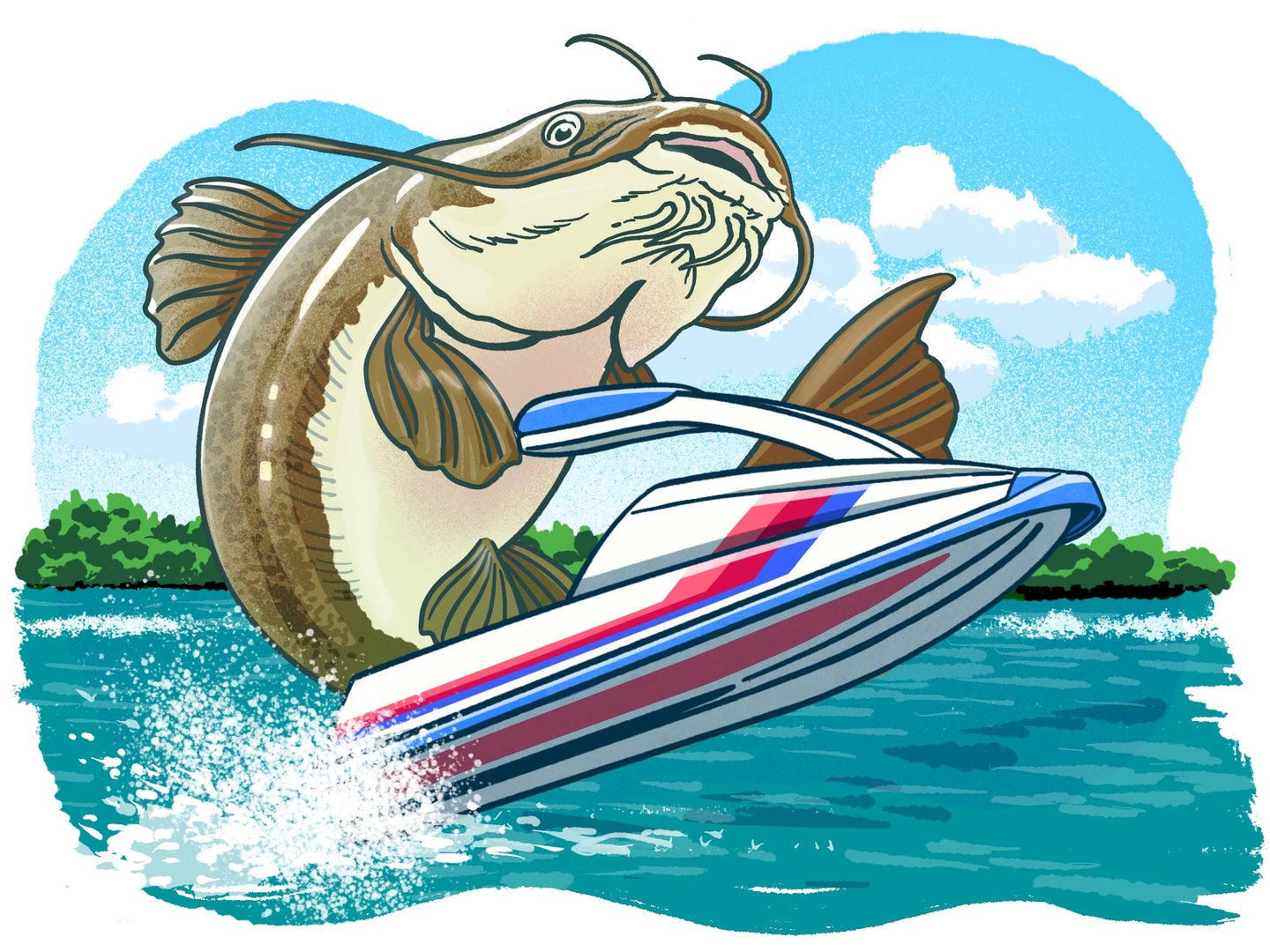 illustration of catfish on jetski