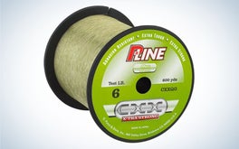 P-Line CXX X-tra Strong Copolymer