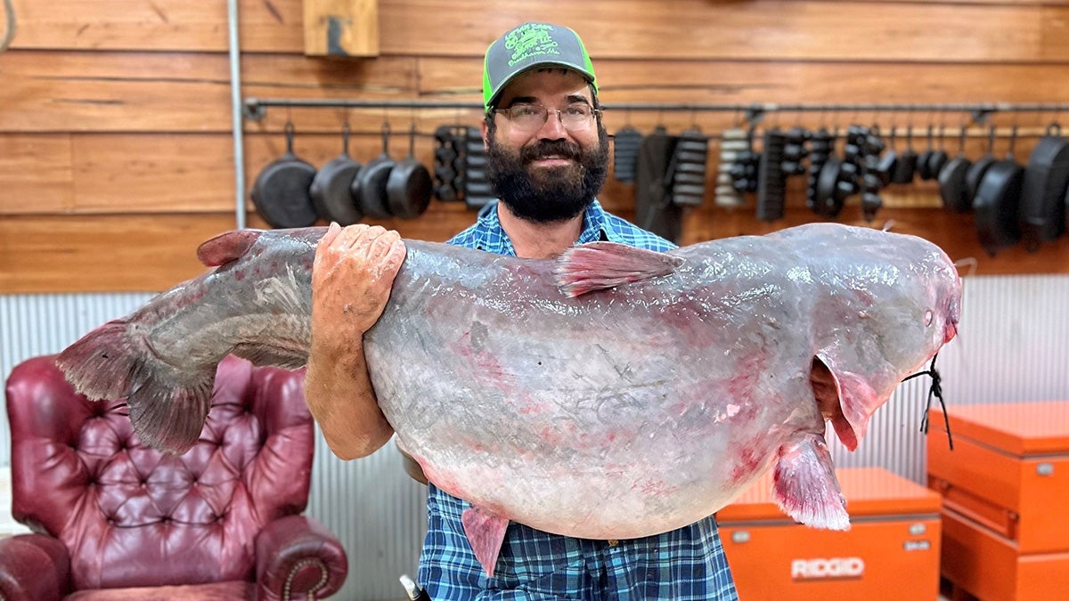 man holds giant catfish