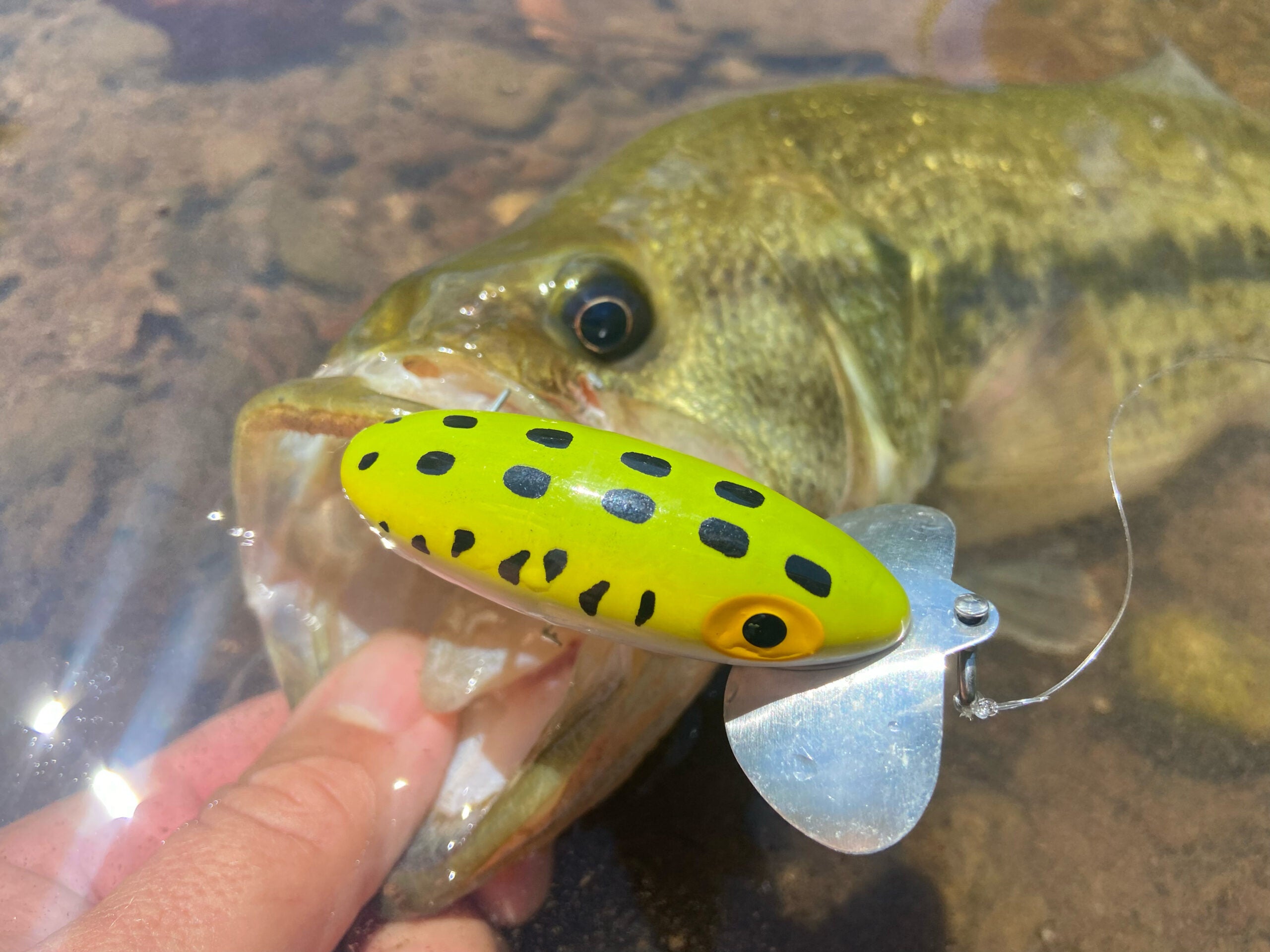 Learning To Fish A Classic Bass Fishing Lure