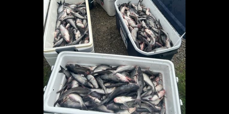 Five Poachers Busted with 665 Catfish in Louisiana
