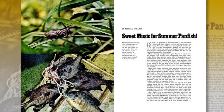 Sweet Music for Summer Panfish