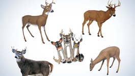 Best Deer Decoys collage