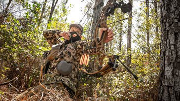 The 8 Best Bow Releases of 2024, Tested and Reviewed