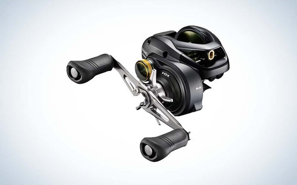 The Shimano Curado DC is the best musky baitcasting reel