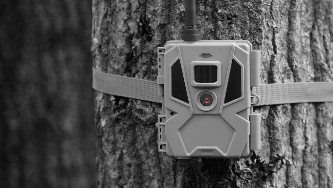 photo of trail camera