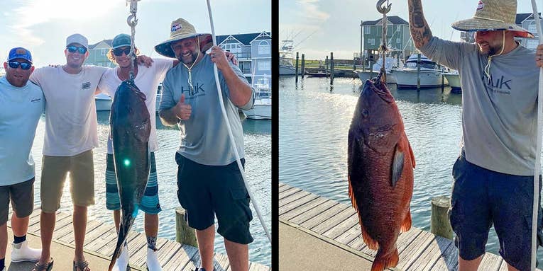 Angler Breaks North Carolina State Record with Giant Cubera Snapper