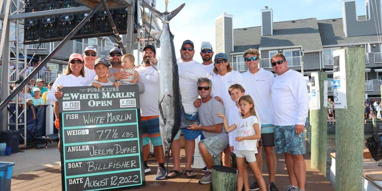 Tournament Angler Wins Record $4.5 Million with a 77.5-pound White Marlin