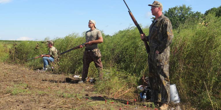 10 Tips for Hunting Doves on Public Land