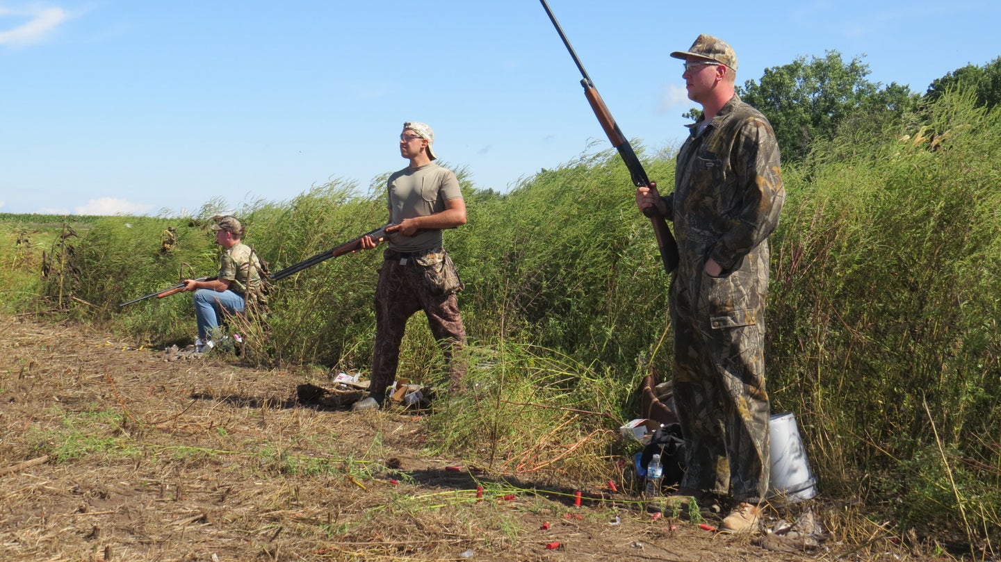 Three hunters standing in a cut field with shotguns.