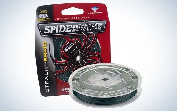 Spiderwire Stealth is the best line for trolling.
