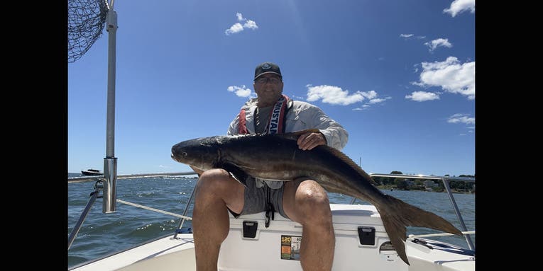 Rare Cobia Catch in Connecticut Could Be New State Record