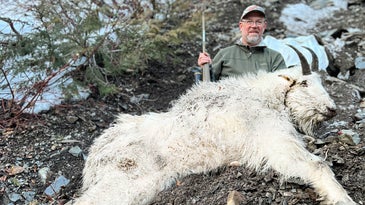 Beads and Billies—a Mountain Goat Hunt in British Columbia
