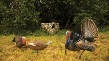 The Best Blinds for Turkey Hunting 2024