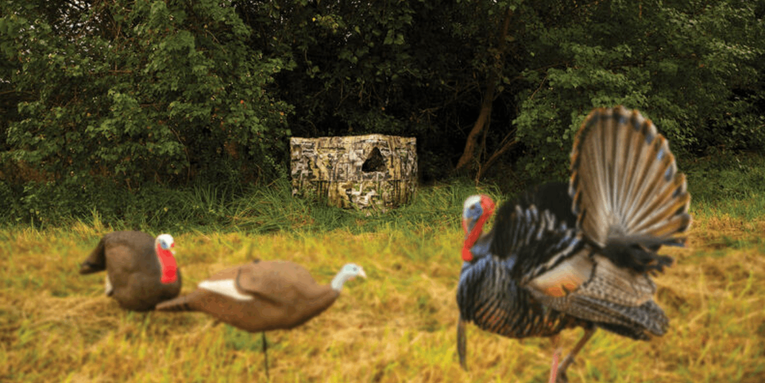 The Best Blinds for Turkey Hunting 2024