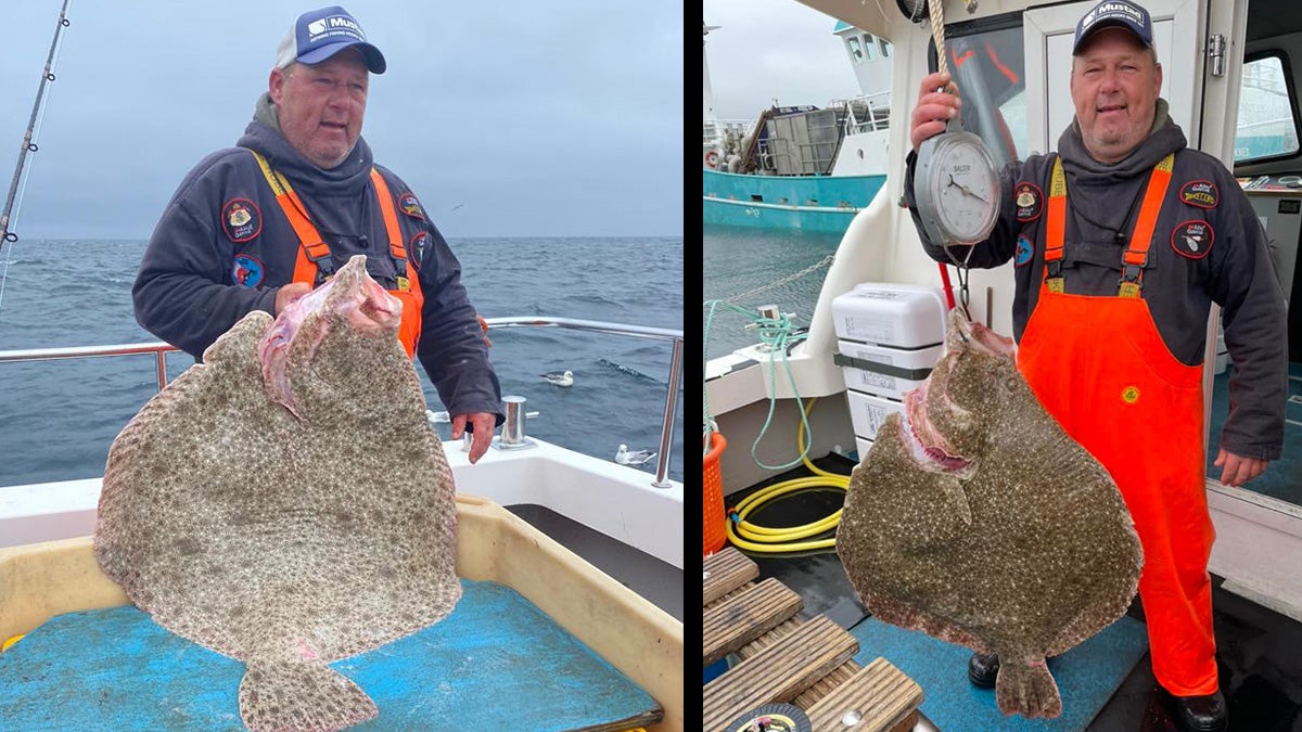 Turbot are similar in appearance to halibut and flounder. 