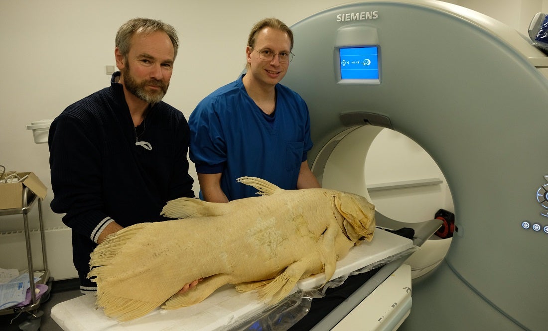 two scientists with coelacant specimen in front of CT scannerh
