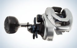 Shimano Tranx 400 is the best overall musky reel.