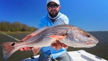 How to Fish for Red Drum