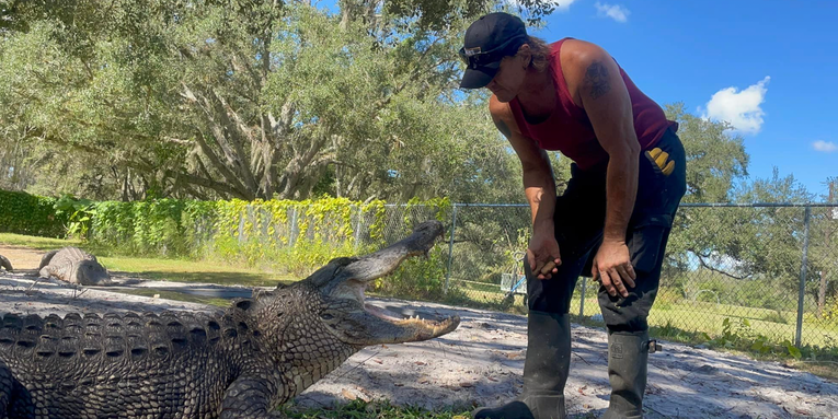 Director of Florida Wildlife Facility Loses Hand in Alligator Attack