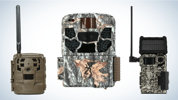 Get Up to 46% Off Top-Rated Trail Cameras at Cabela’s Right Now