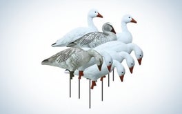 Higdon Apex Full-Size Full-Body Snow and Juvenile Goose Decoys
