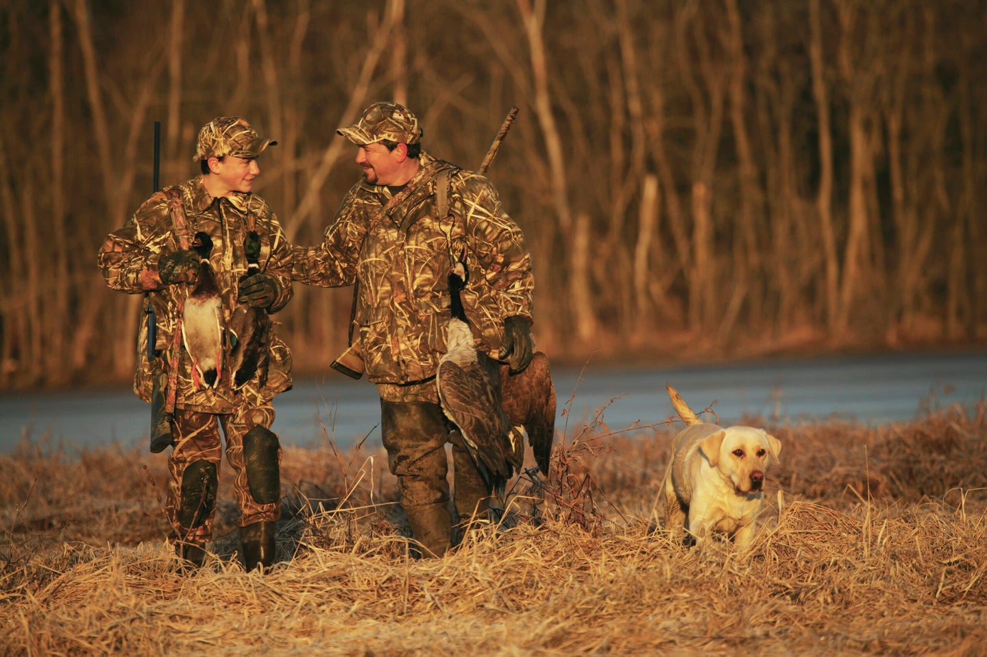 Father And Son Hunters Carrying Decoys And Birds