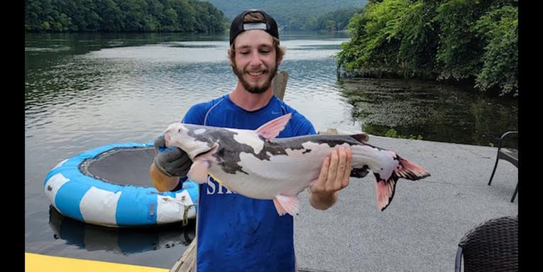Tennessee Kayak Angler Makes Shocking Piebald Catfish Catch