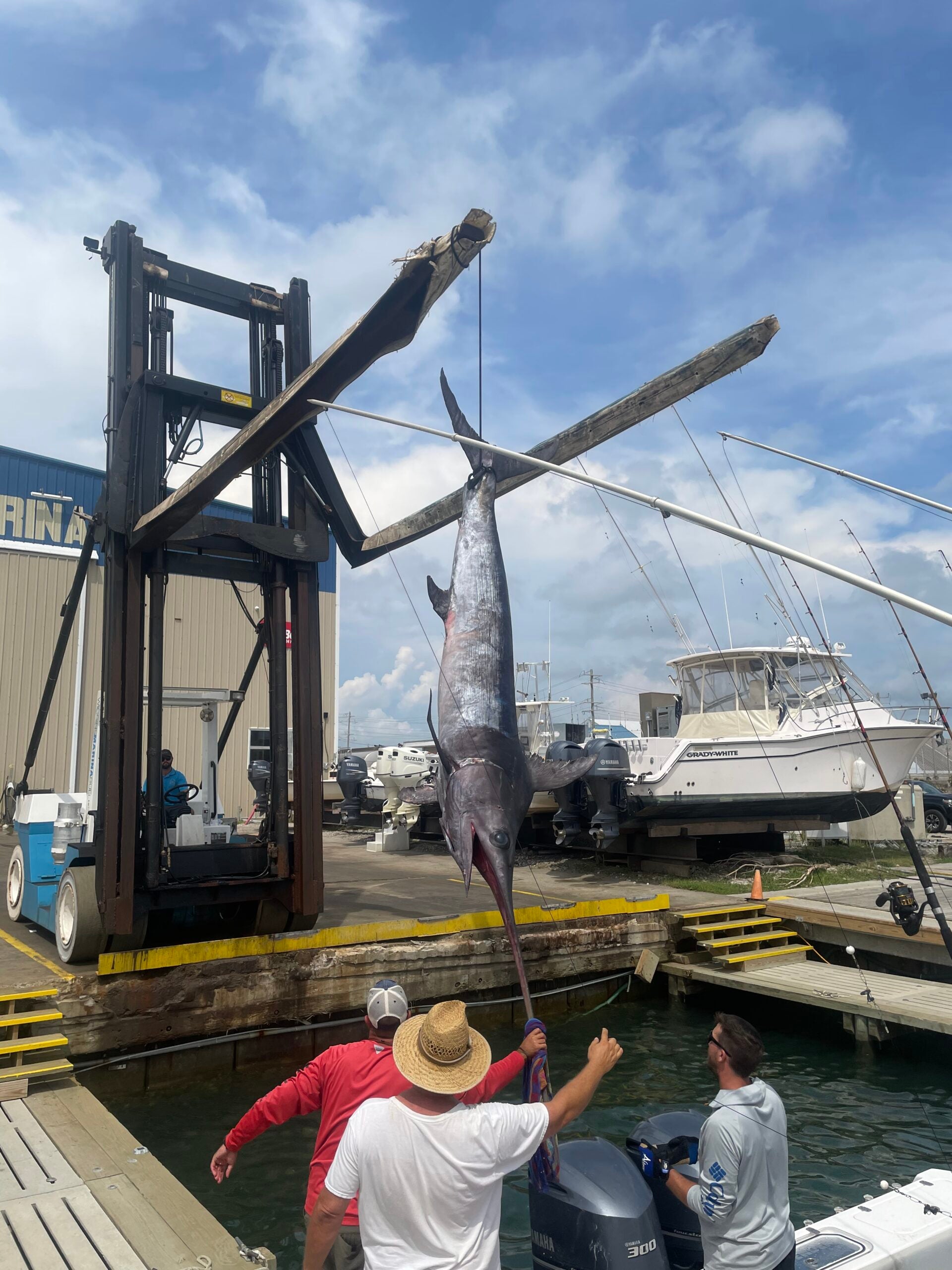 Father and son break North Carolina state record with massive 12.5-foot swordfish
