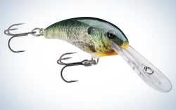 Rapala Shad Dancer Crankbait is the best lure for the shore.