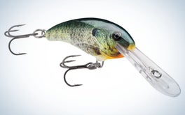 Rapala Shad Dancer Crankbait is the best lure for the shore.