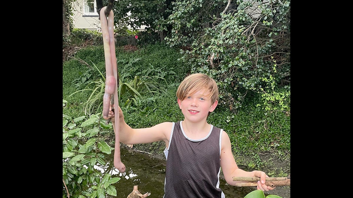 boy holds large earthworm