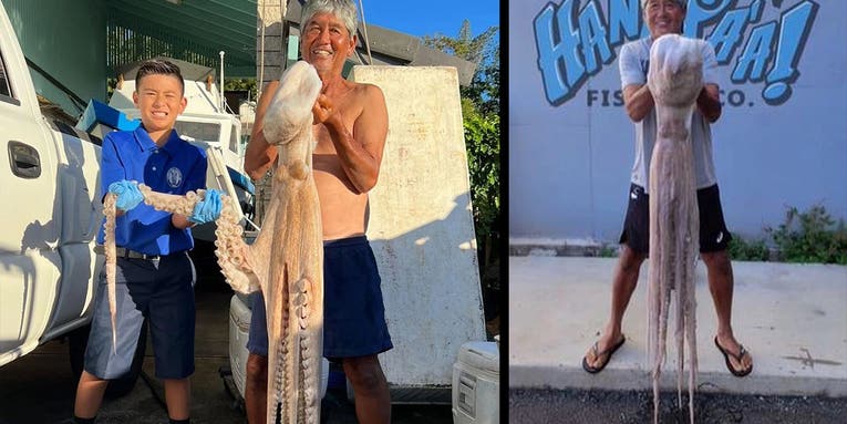 Hawaii Angler Breaks 22-Year-Old State Record with Giant Octopus