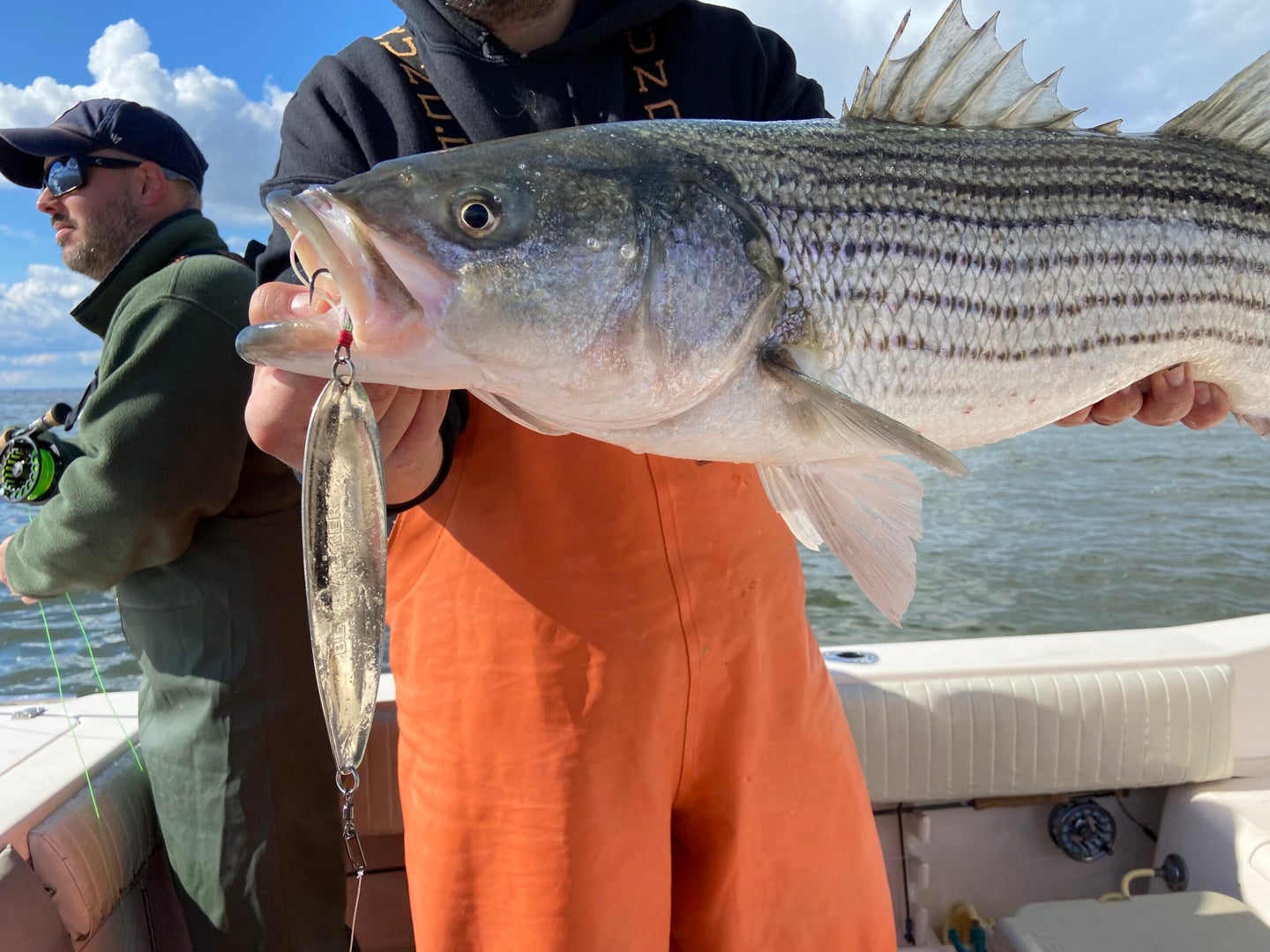 striped bass caught on a spoon