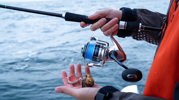 The Best Inshore Spinning Reels of 2024