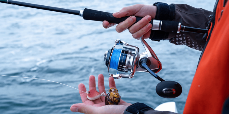 The Best Inshore Spinning Reels of 2024