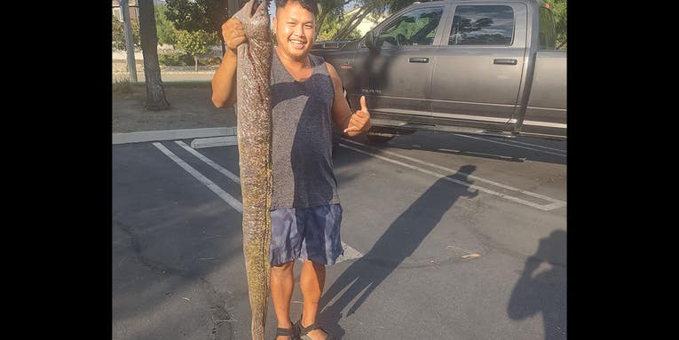 California Angler Catches Potential World Record Moray Eel from Shore
