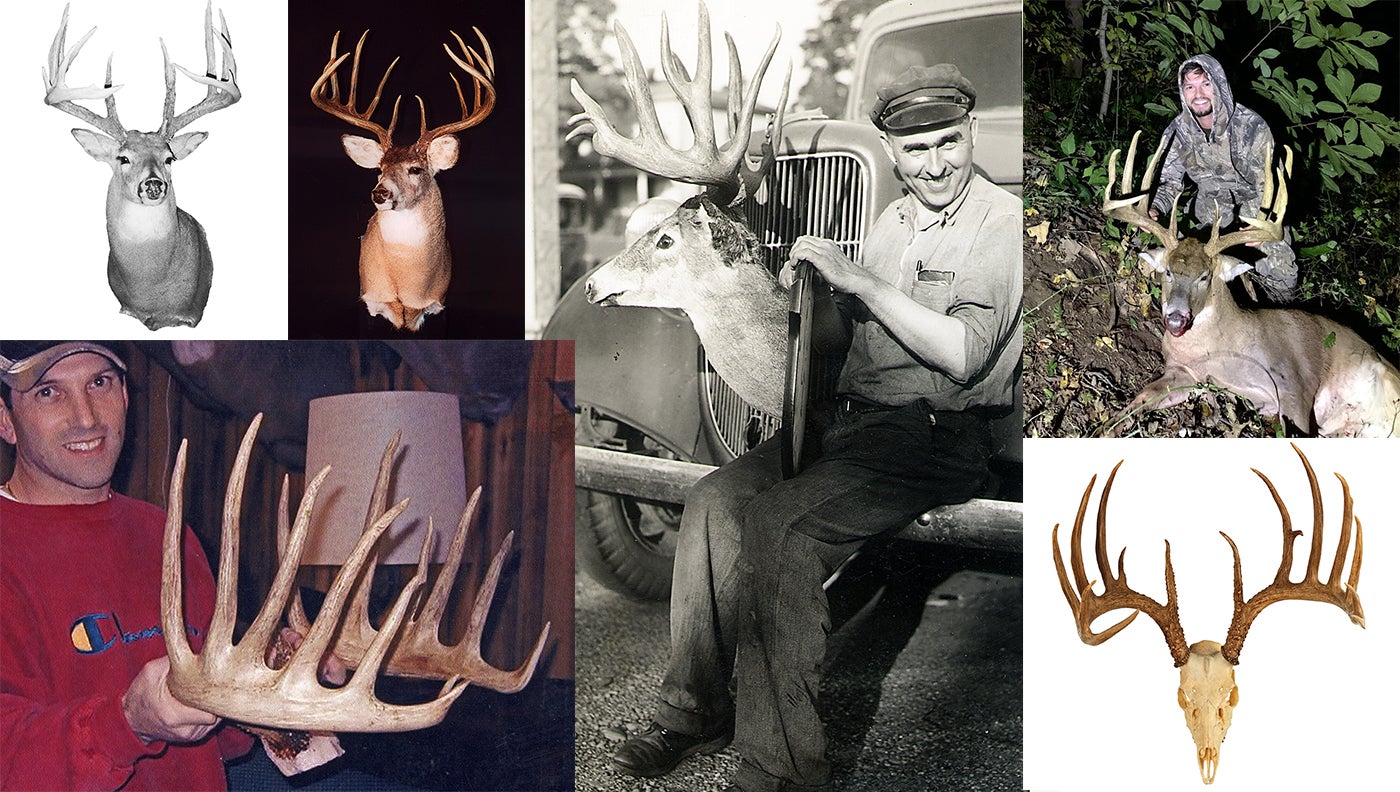collage of the biggest whitetail deer