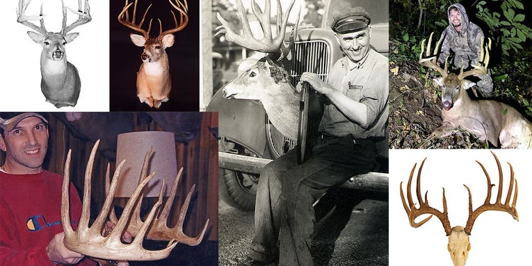 The Biggest B&C Record Whitetail Deer from Every State