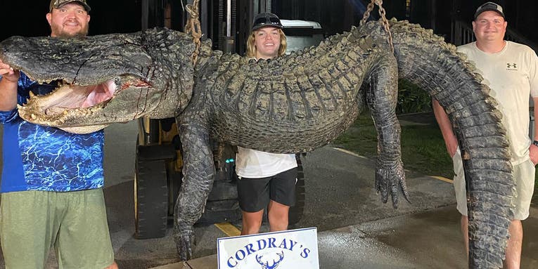 South Carolina Hunters Use Giant Treble Hook to Bag Massive 625-pound Gator