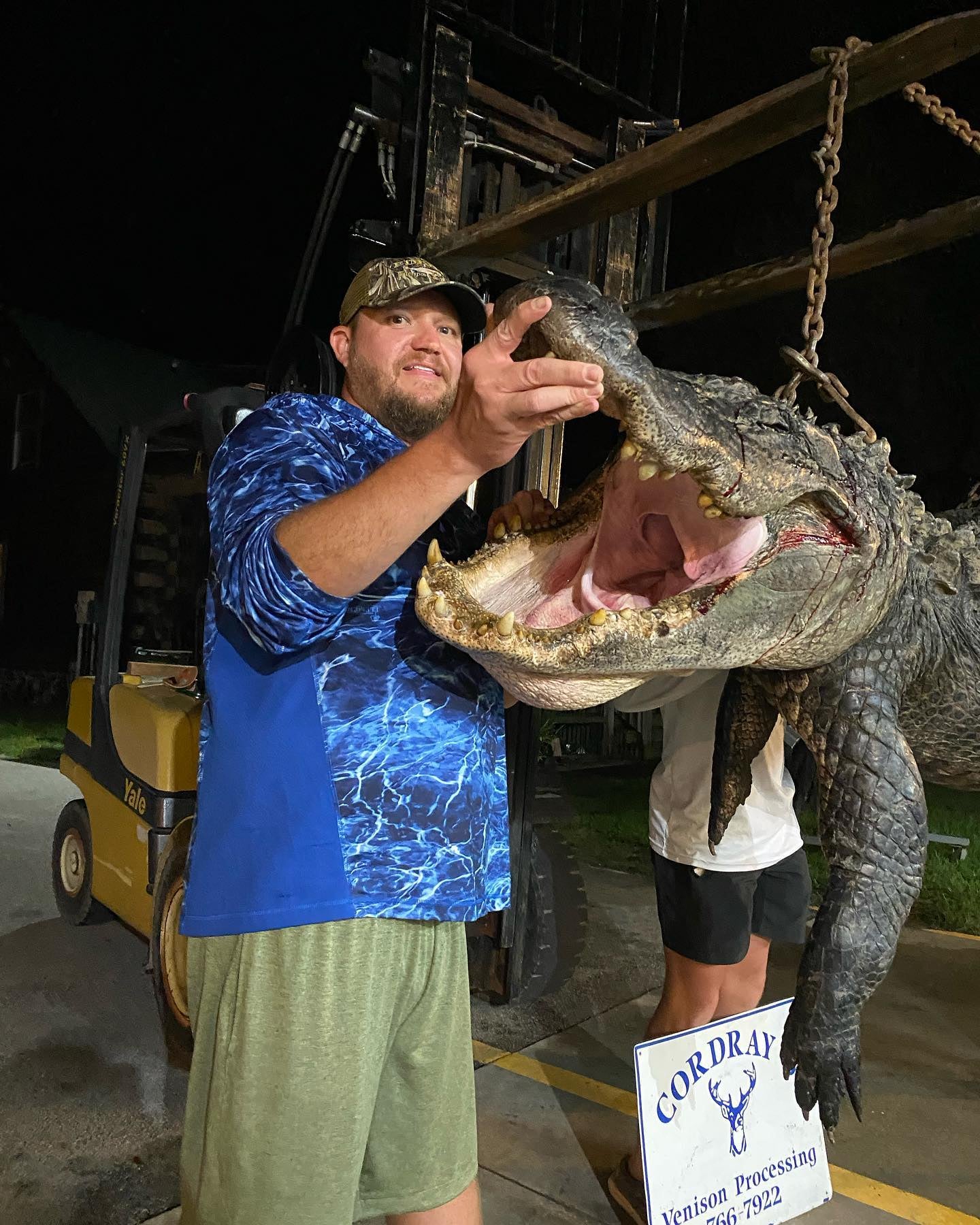 large alligator taken in South Carolina