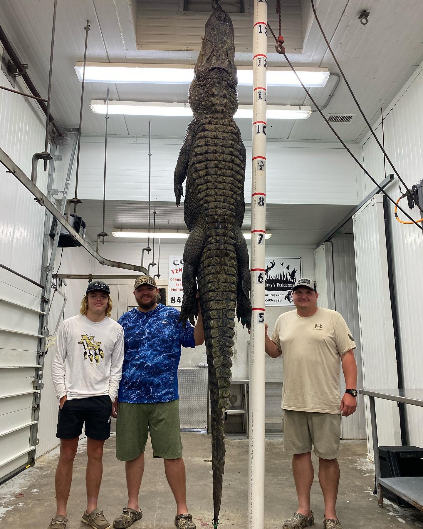 South Carolina Hunters Use Giant Treble Hook to Bag Massive 625-pound Gator