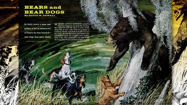 Old-School Hunting Adventures of Bears and Bear Dogs