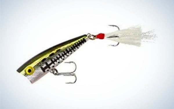 best_lures_for_white_bass_Rebel